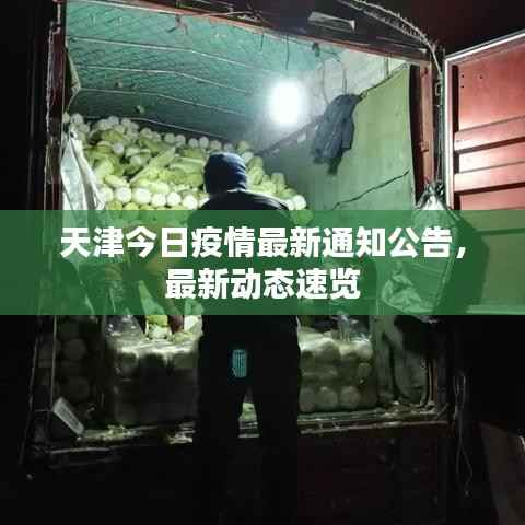 天津今日疫情最新通知公告,最新动态速览