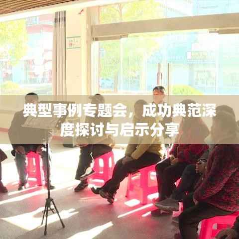 典型事例专题会,成功典范深度探讨与启示分享