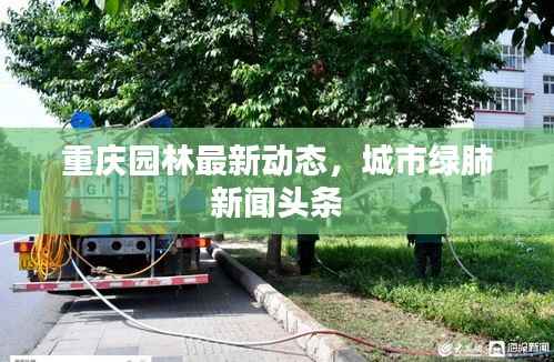 重庆园林最新动态,城市绿肺新闻头条