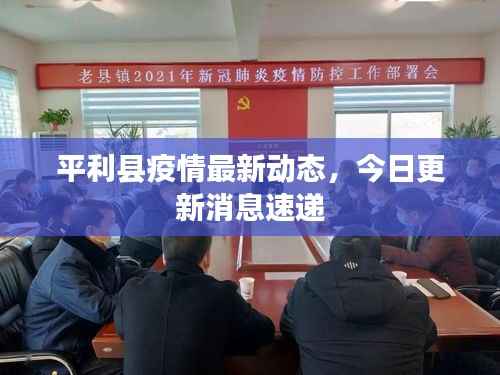 平利县疫情最新动态,今日更新消息速递