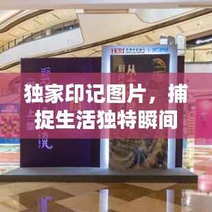 独家印记图片,捕捉生活独特瞬间的艺术之美