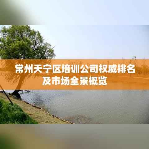 常州天宁区培训公司权威排名及市场全景概览