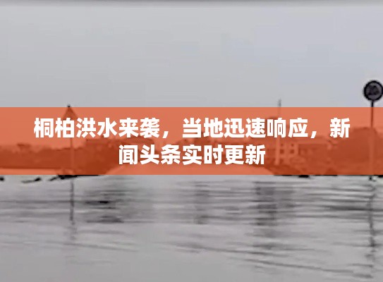 桐柏洪水来袭,当地迅速响应,新闻头条实时更新