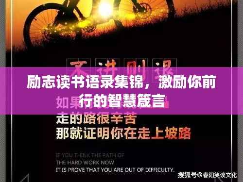 励志读书语录集锦,激励你前行的智慧箴言