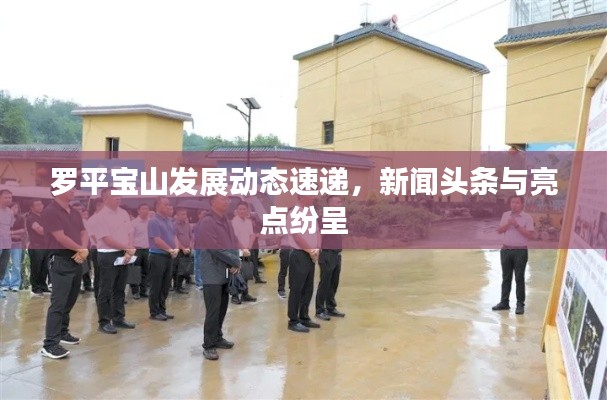 罗平宝山发展动态速递,新闻头条与亮点纷呈