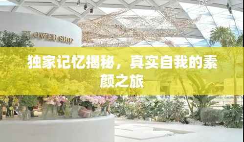 独家记忆揭秘,真实自我的素颜之旅