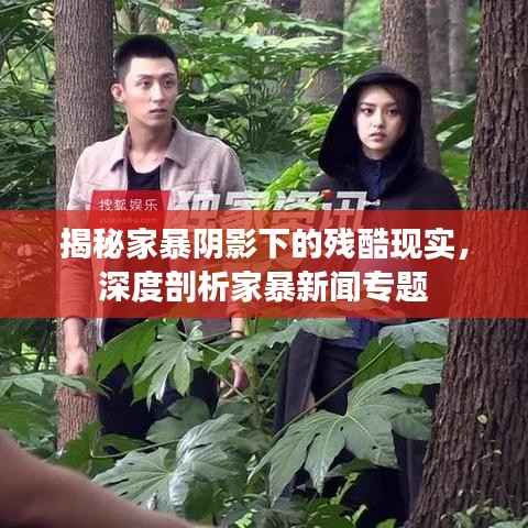 揭秘家暴阴影下的残酷现实,深度剖析家暴新闻专题