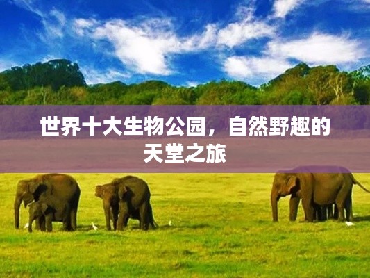 世界十大生物公园,自然野趣的天堂之旅