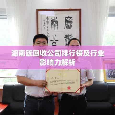 湖南碳回收公司排行榜及行业影响力解析