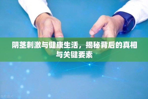 阴茎刺激与健康生活,揭秘背后的真相与关键要素