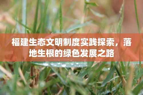福建生态文明制度实践探索,落地生根的绿色发展之路