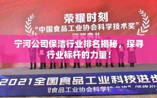 宁河公司保洁行业排名揭秘,探寻行业标杆的力量!