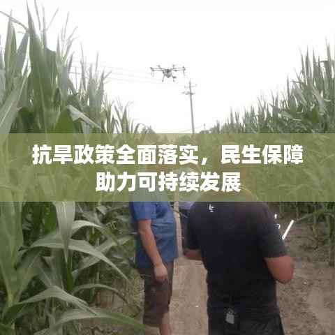 抗旱政策全面落实,民生保障助力可持续发展