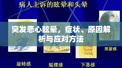 突发恶心眩晕,症状、原因解析与应对方法