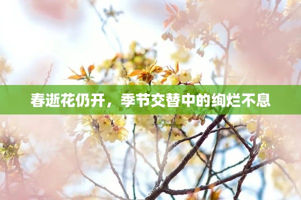 春逝花仍开,季节交替中的绚烂不息