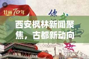 西安枫林新闻聚焦,古都新动向与社会热点一网打尽