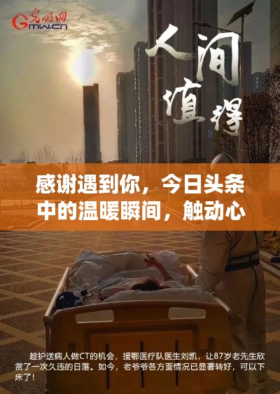 感谢遇到你,今日头条中的温暖瞬间,触动心灵的人性之美