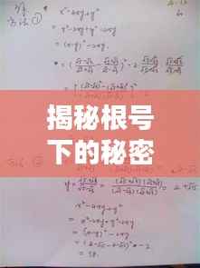 揭秘根号下的秘密,探究48的根式解析