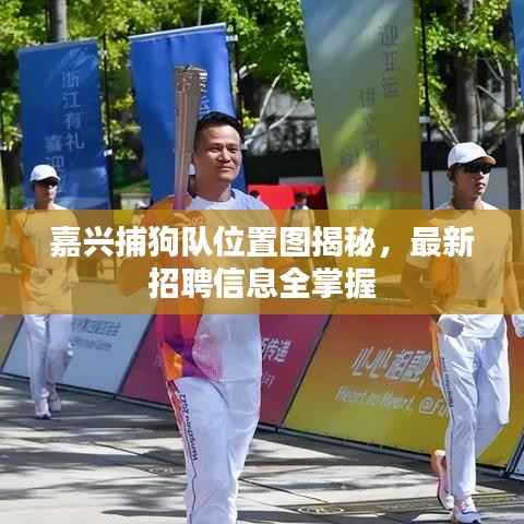 嘉兴捕狗队位置图揭秘，最新招聘信息全掌握