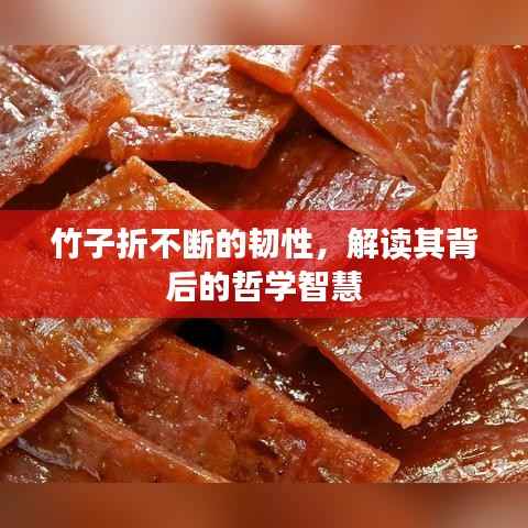 竹子折不断的韧性,解读其背后的哲学智慧