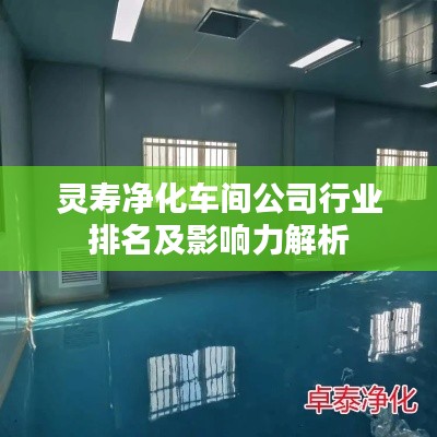 灵寿净化车间公司行业排名及影响力解析
