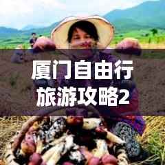 厦门自由行旅游攻略2020,探索之旅全解析