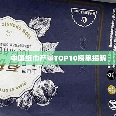 中国纸巾产量TOP10榜单揭晓
