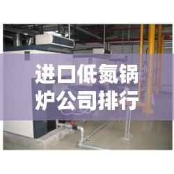 进口低氮锅炉公司排行榜及行业影响力解析