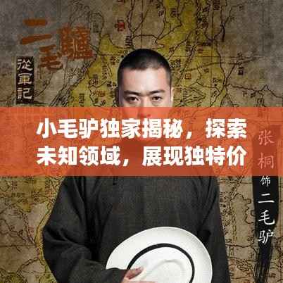 小毛驴独家揭秘，探索未知领域，展现独特价值