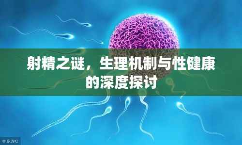 射精之谜,生理机制与性健康的深度探讨