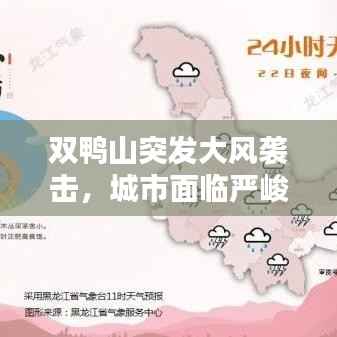 双鸭山突发大风袭击,城市面临严峻挑战考验