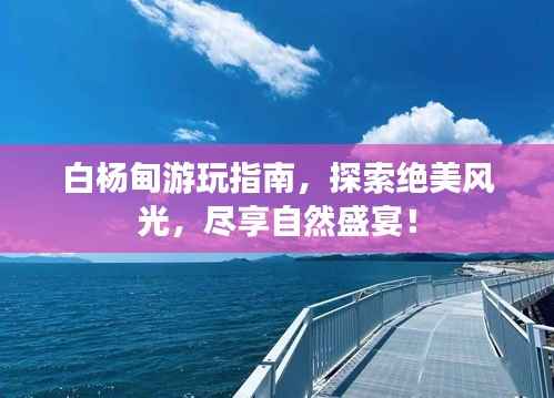白杨甸游玩指南,探索绝美风光,尽享自然盛宴!