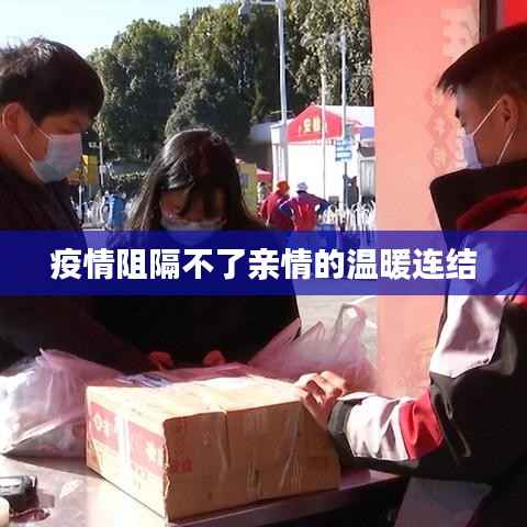 行业新闻 第156页