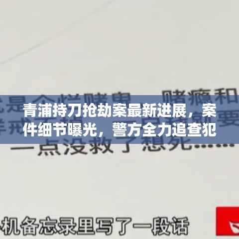 青浦持刀抢劫案最新进展,案件细节曝光,警方全力追查犯罪嫌疑人