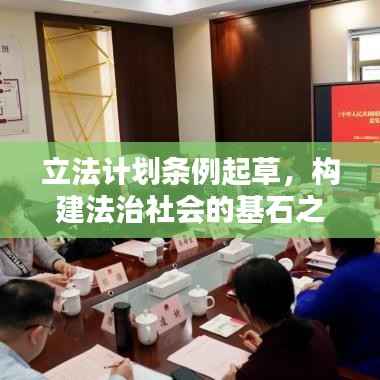 立法计划条例起草,构建法治社会的基石之路