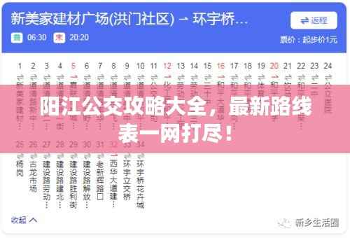 阳江公交攻略大全,最新路线表一网打尽!