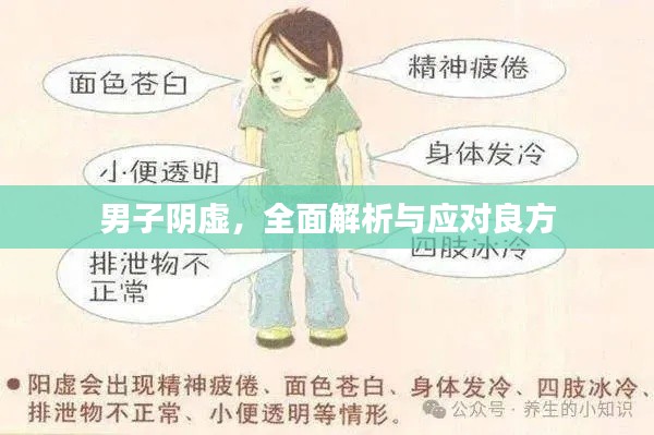 男子阴虚,全面解析与应对良方