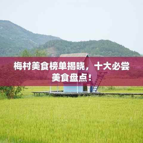 梅村美食榜单揭晓,十大必尝美食盘点!