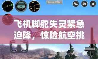 飞机脚舵失灵紧急迫降,惊险航空挑战