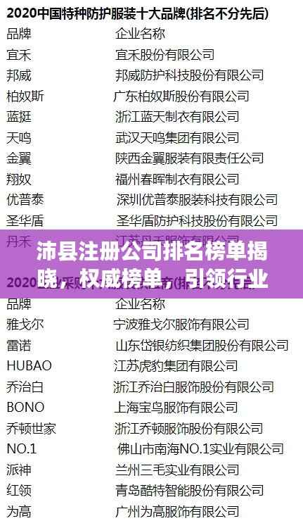 沛县注册公司排名榜单揭晓，权威榜单，引领行业风向标！
