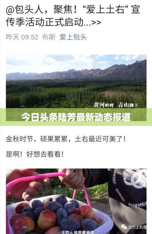 项目介绍 第127页