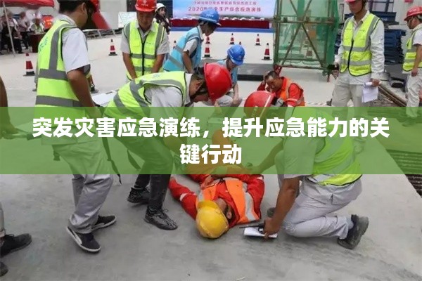突发灾害应急演练,提升应急能力的关键行动