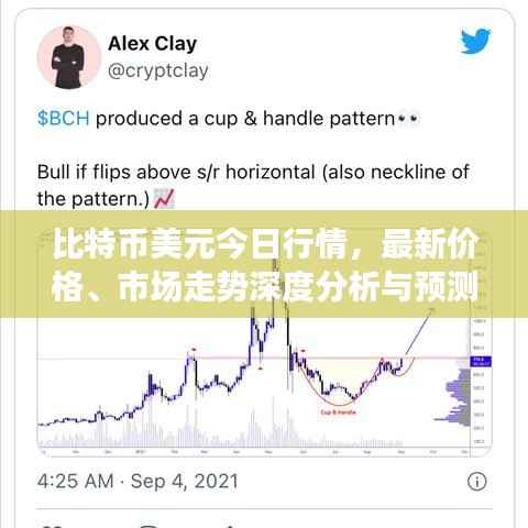 比特币美元今日行情,最新价格、市场走势深度分析与预测