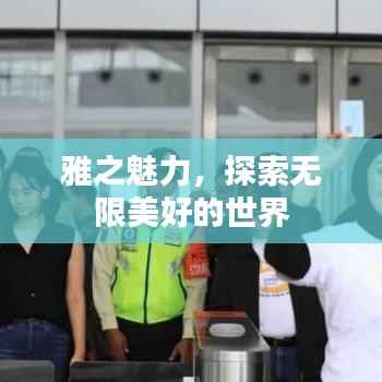 雅之魅力,探索无限美好的世界