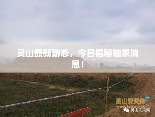灵山最新动态，今日揭秘独家消息！