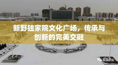 新野独家院文化广场,传承与创新的完美交融