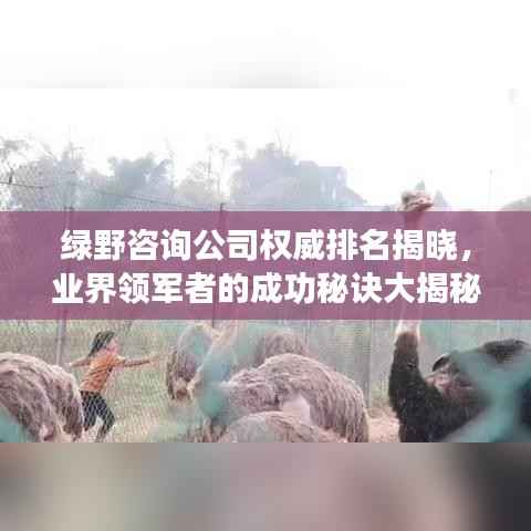 绿野咨询公司权威排名揭晓,业界领军者的成功秘诀大揭秘!