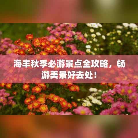 海丰秋季必游景点全攻略,畅游美景好去处!
