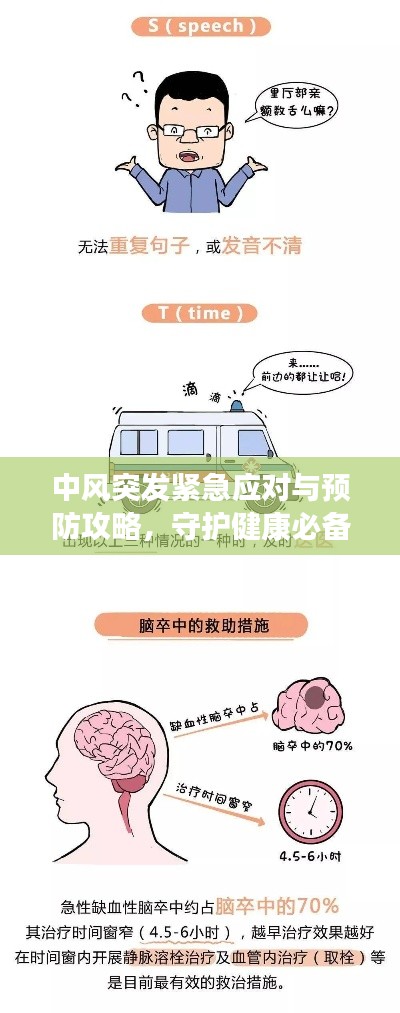 中风突发紧急应对与预防攻略,守护健康必备知识!
