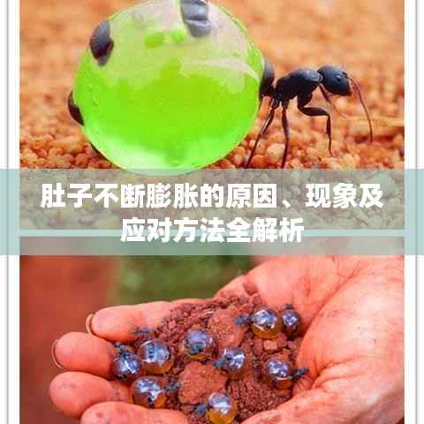 肚子不断膨胀的原因、现象及应对方法全解析